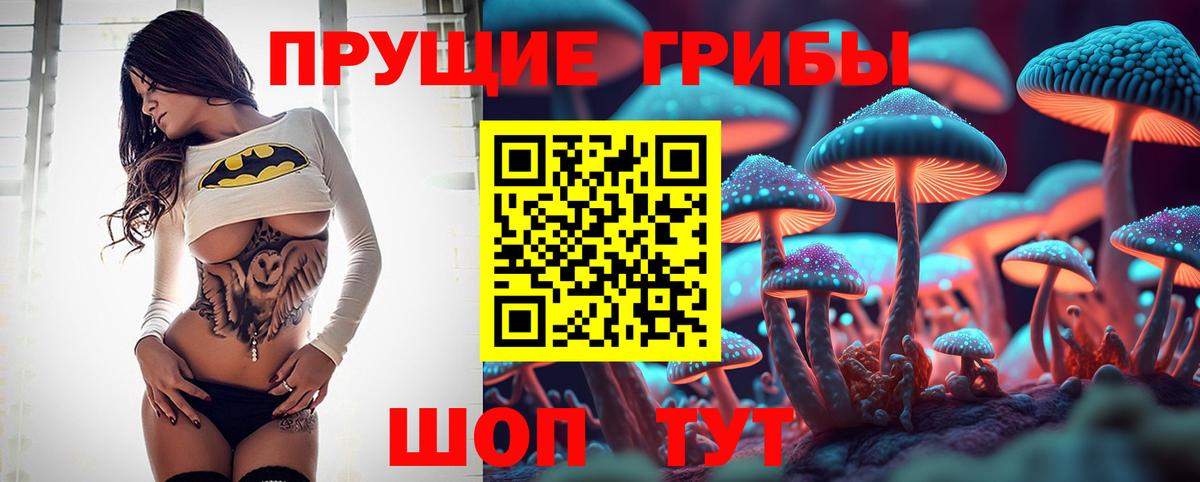 Галлюциногенные грибы MAGIC MUSHROOMS Горно-Алтайск